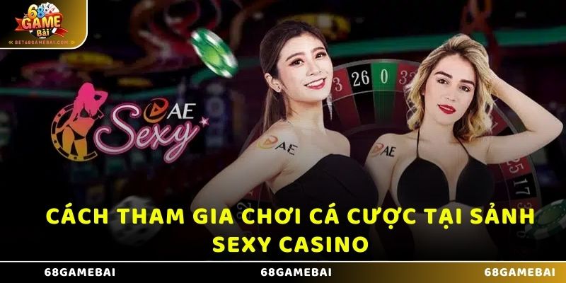 Cách tham gia chơi cá cược tại sảnh Sexy Casino